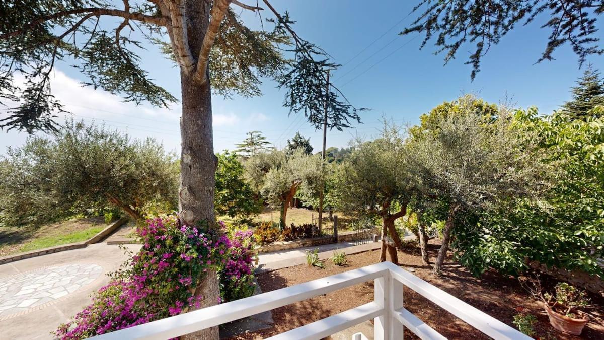 Villa Romano, Anacapri Kültér fotó